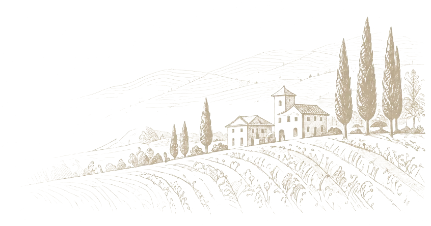 Dessin d'un domaine, de vignes et de cyprès.